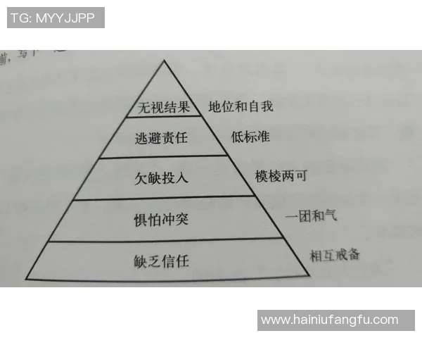 南京排球队战术创新与团队协作的深度解析与展望